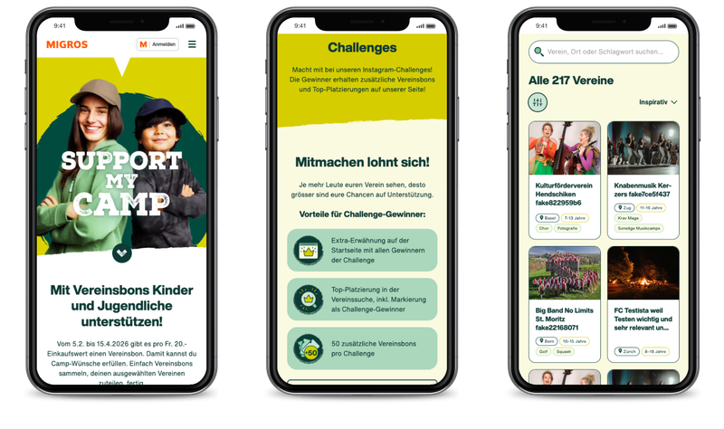 Plattform-Entwicklung für Marketing Promotion